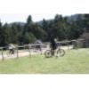 1-Activities-Mountain Bike in Mt.Parnitha(Trekh-03)2011-040